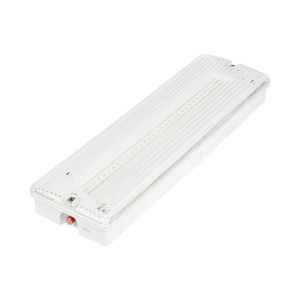 Аварийный светильник  ДБО03-4-052-6К