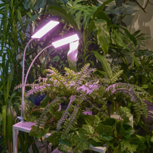 Настольная лампа для растений  ULT-P37-24W/SPLE/TM/60 IP40 WHITE TWIN