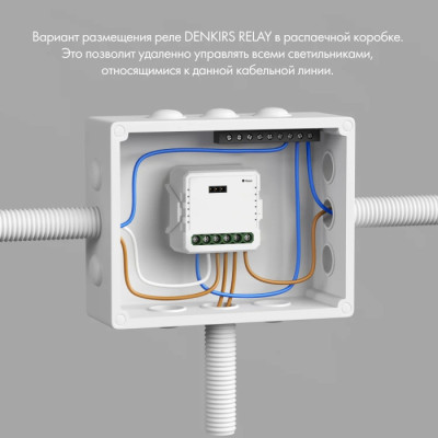 Wi-Fi реле Relay RL1002-SM