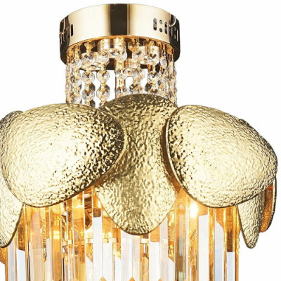 Потолочная люстра  01976-0.3-5+4