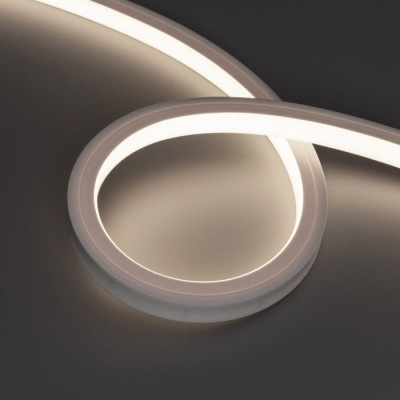 Гибкий неон  050600